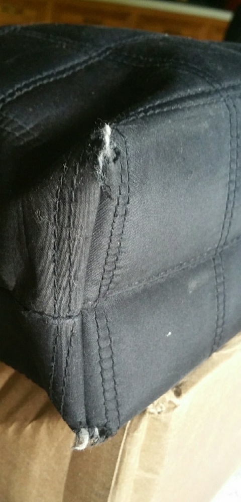 Confused - Picture 3 of 4